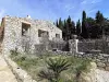 Photos de notre gîte et maison d'hote à vendre à Perpignan - 2022 (53).webp
